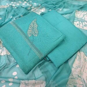 Pashmeena Woollen Suit 540834/80005566